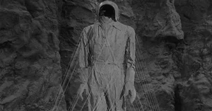 K Pocket Fuzz thumbnail